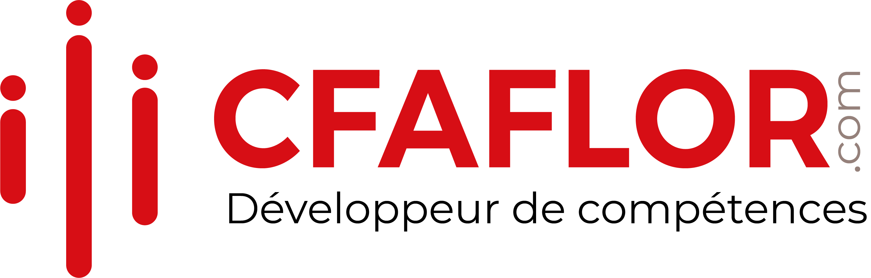 couleur__Logo-CFAFLOR-com-Développeur de compétences-long